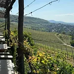 Dans Le Vignoble Proche Strasbourg Apartment Marlenheim