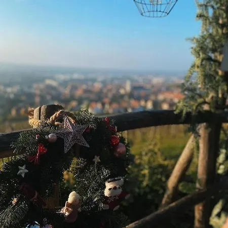 Appartamento Cosy&terrasse Vignoble Près Strasbourg Marlenheim