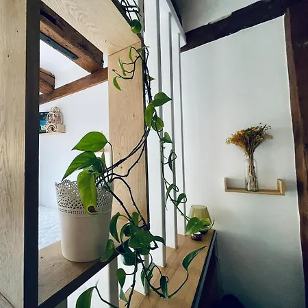 Apartment Dans Le Vignoble Proche Strasbourg Marlenheim