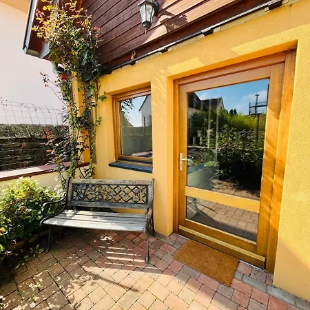 Dans Le Vignoble Proche Strasbourg Marlenheim