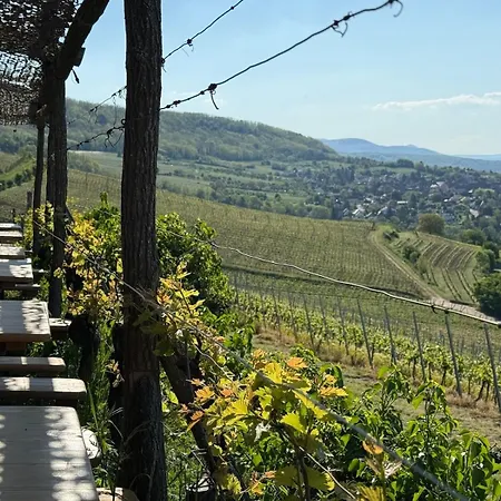 Appartamento Cosy&terrasse Vignoble Près Strasbourg *