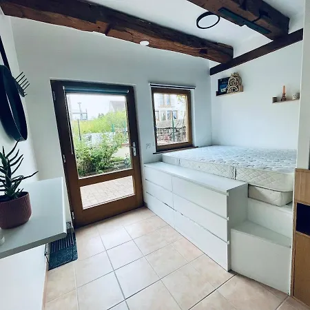 Dans Le Vignoble Proche Strasbourg *