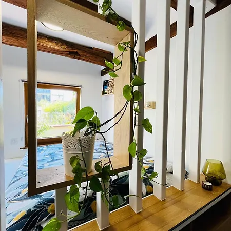 Dans Le Vignoble Proche Strasbourg Appartement *