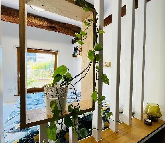 Dans Le Vignoble Proche Strasbourg Marlenheim