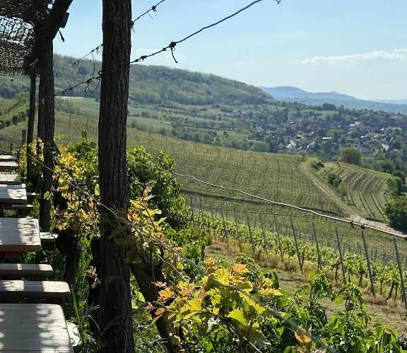 Dans Le Vignoble Proche Strasbourg Appartement Marlenheim