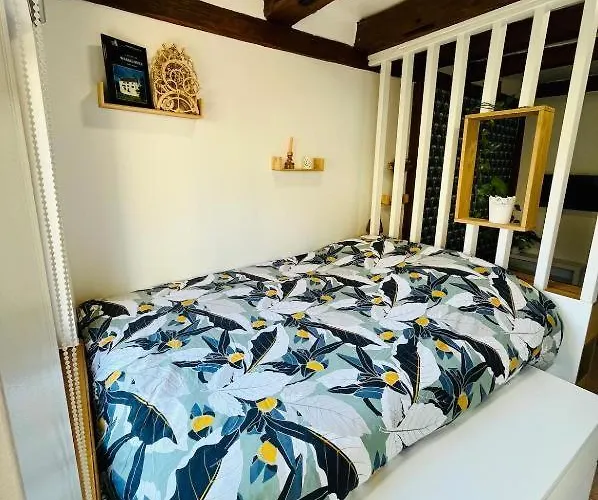 Dans Le Vignoble Proche Strasbourg *