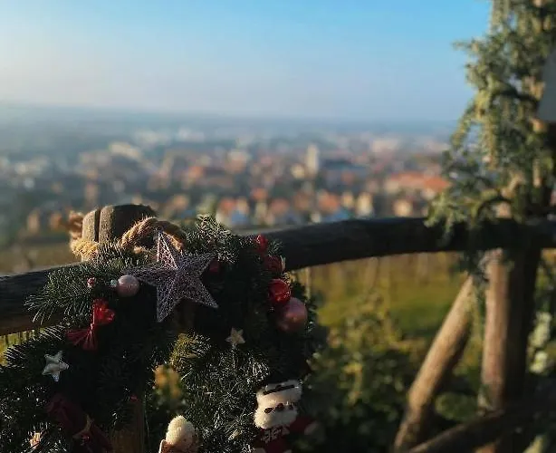 Apartment Dans Le Vignoble Proche Strasbourg Marlenheim