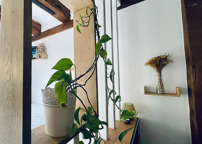 Apartment Dans Le Vignoble Proche Strasbourg Marlenheim