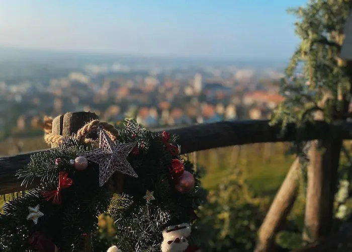 Dans Le Vignoble Proche Strasbourg