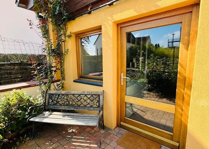 Dans Le Vignoble Proche Strasbourg Marlenheim