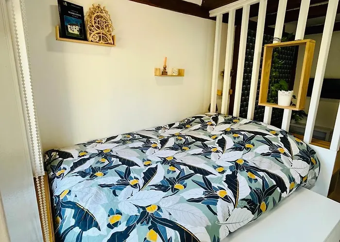 Dans Le Vignoble Proche Strasbourg Appartement *