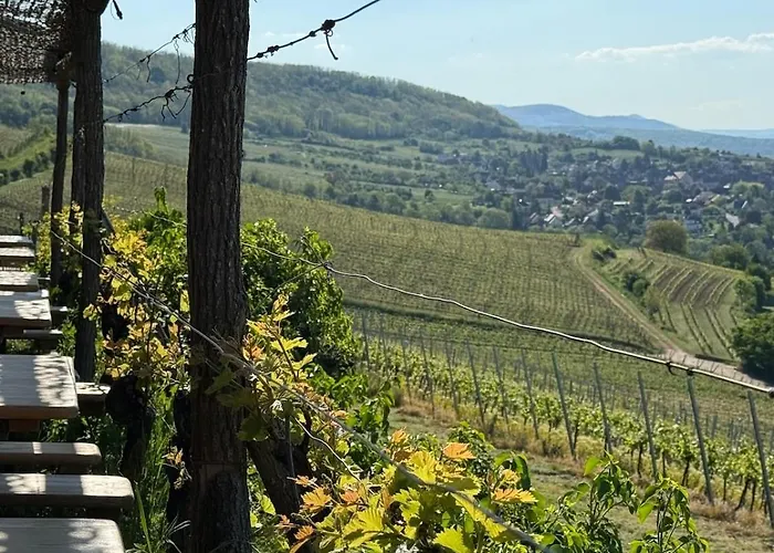 Appartement Dans Le Vignoble Proche Strasbourg *