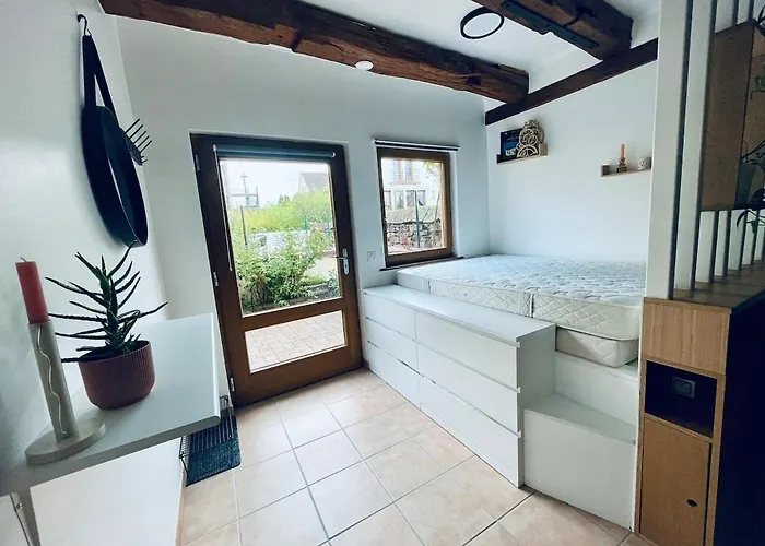 Dans Le Vignoble Proche Strasbourg *