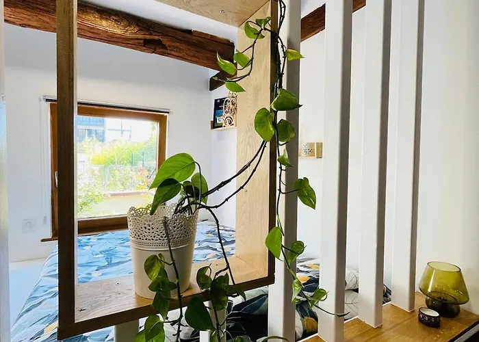 Dans Le Vignoble Proche Strasbourg Appartement *